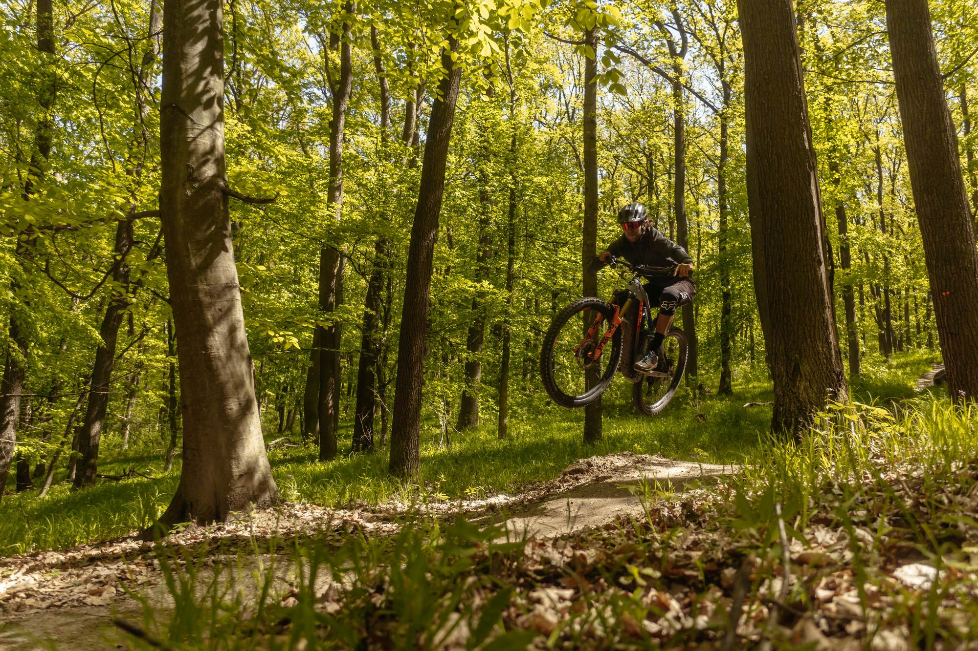 Mountain biker jumping an e-MTB on a dirt trail through a green forest